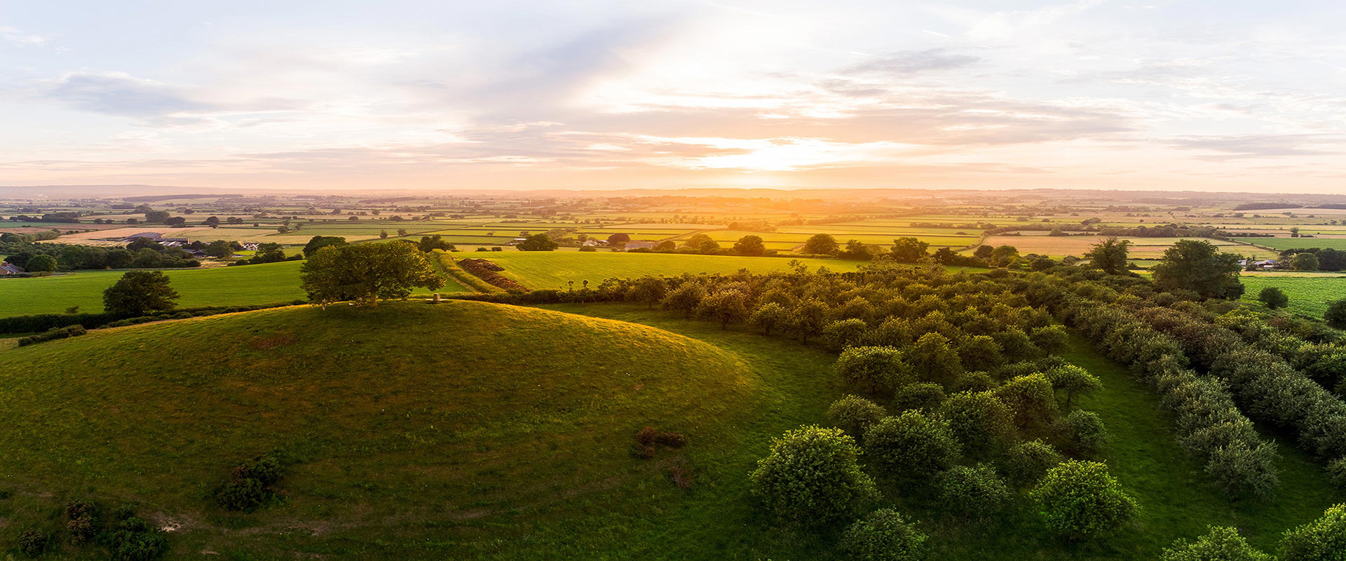 Pardoes & Purely Probate<br>
explained