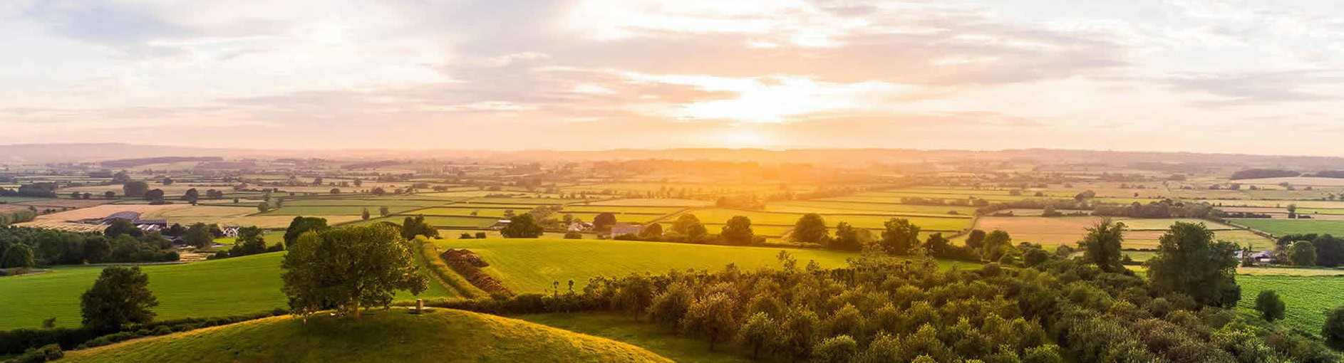 Looking After You, Your Family <br>& Your Business