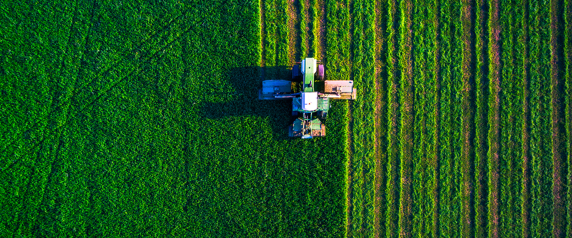 AGRICULTURE & FARMING